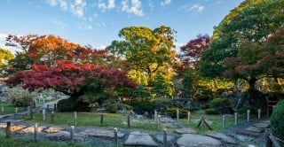 名勝二之丸庭園の画像